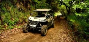 Surrender to the adventure
